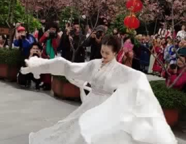 花朝节小姐姐汉服,小姐姐们的汉服风华再现