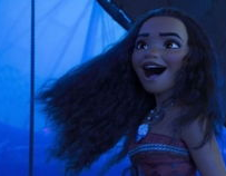 打鼓小姐姐夜曲,夜曲中的鼓点小姐姐