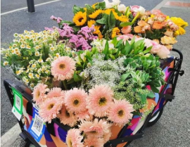 南坪卖花小姐姐,街头风景线中的温馨故事